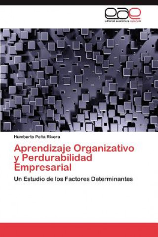 Książka Aprendizaje Organizativo y Perdurabilidad Empresarial Humberto Pe a Rivera