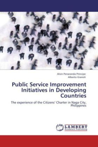 Buch Public Service Improvement Initiatives in Developing Countries Alvin Penaranda Principe