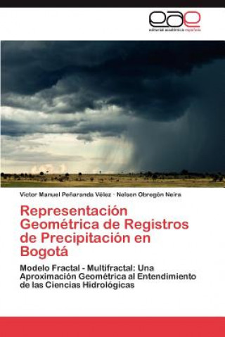 Kniha Representacion Geometrica de Registros de Precipitacion en Bogota Nelson Obregón Neira
