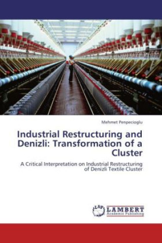 Carte Industrial Restructuring and Denizli: Transformation of a Cluster Mehmet Penpecioglu