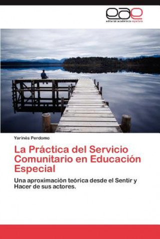 Kniha Practica del Servicio Comunitario En Educacion Especial Yarinés Perdomo