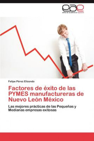 Knjiga Factores de Exito de Las Pymes Manufactureras de Nuevo Leon Mexico Felipe Pérez Elizondo