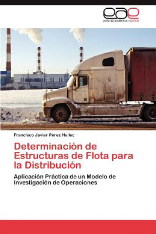 Livre Determinacion de Estructuras de Flota para la Distribucion Francisco Javier Pérez Hellec