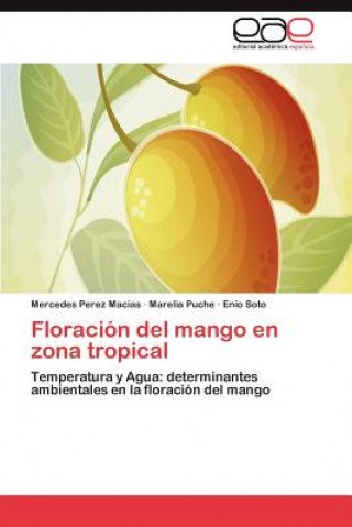 Könyv Floracion del mango en zona tropical Mercedes Perez Macias