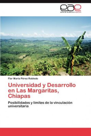 Kniha Universidad y Desarrollo En Las Margaritas, Chiapas Flor Mar P Rez Robledo