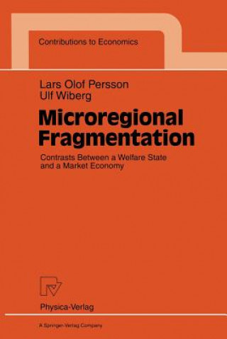 Книга Microregional Fragmentation Lars O. Persson