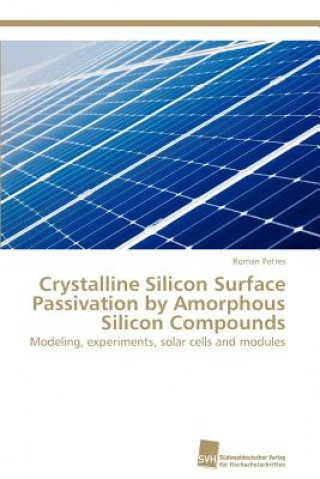 Buch Crystalline Silicon Surface Passivation by Amorphous Silicon Compounds Roman Petres