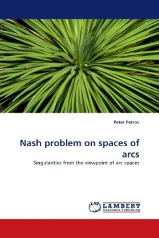Könyv Nash problem on spaces of arcs Peter Petrov