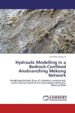 Kniha Hydraulic Modelling in a Bedrock-Confined Anabranching Mekong Network Van Pham Dang Tri