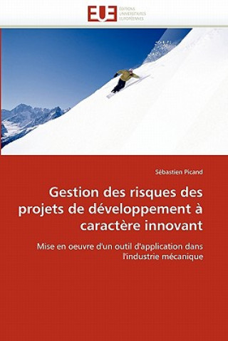 Книга Gestion Des Risques Des Projets de D veloppement   Caract re Innovant Sébastien Picand