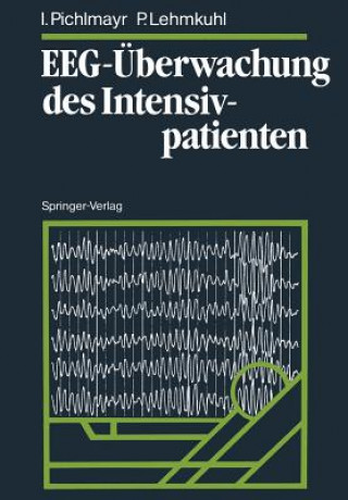 Kniha EEG-Überwachung des Intensivpatienten Ina Pichlmayr