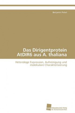 Kniha Dirigentprotein AtDIR6 aus A. thaliana Benjamin Pickel