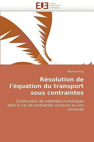 Knjiga R solution de l'' quation Du Transport Sous Contraintes Martine Picq