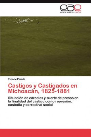 Книга Castigos y Castigados en Michoacan, 1825-1881 Pineda Yvonne