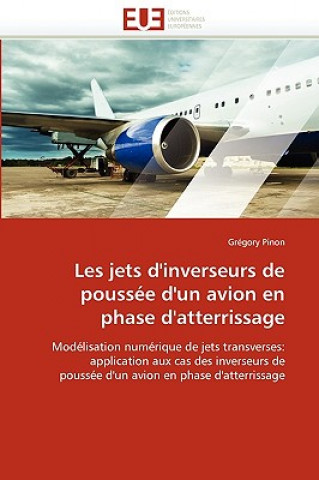 Könyv Les Jets D'Inverseurs de Poussee D'Un Avion En Phase D'Atterrissage Grégory Pinon