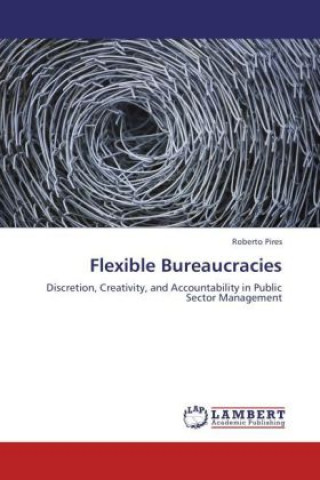 Carte Flexible Bureaucracies Roberto Pires