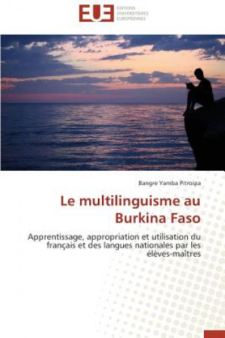 Kniha Le Multilinguisme Au Burkina Faso Bangre Yamba Pitroipa