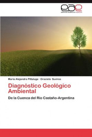 Kniha Diagnostico Geologico Ambiental Maria Alejandra Pittaluga