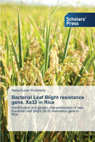 Könyv Bacterial Leaf Blight resistance gene, Xa33 in Rice Natraj Kumar Podishetty