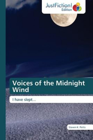 Könyv Voices of the Midnight Wind Steven K. Potts