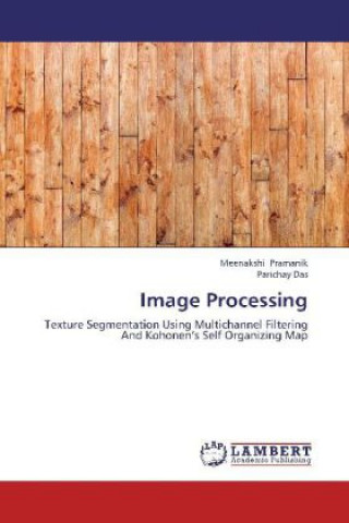 Kniha Image Processing Meenakshi Pramanik