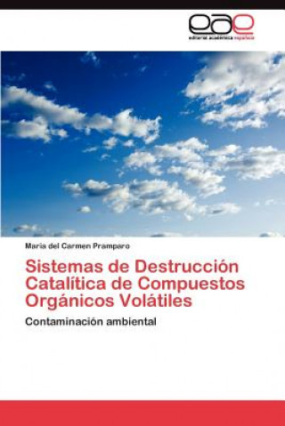 Könyv Sistemas de Destruccion Catalitica de Compuestos Organicos Volatiles Maria del Carmen Pramparo