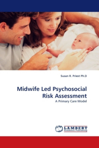 Książka Midwife Led Psychosocial Risk Assessment Susan R. Priest