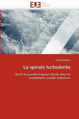 Libro Spirale Turbulente Arnaud Prigent