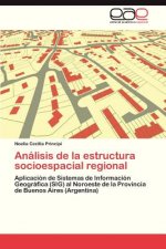Könyv Analisis de La Estructura Socioespacial Regional Noelia Cecilia Principi
