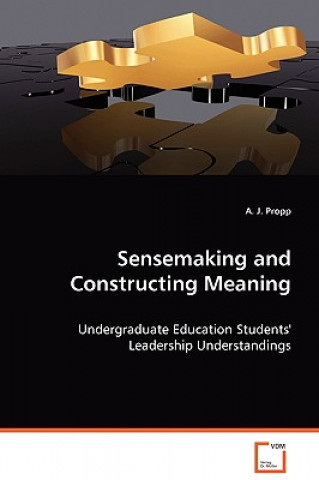 Carte Sensemaking and Construction Meaning A. J. Propp