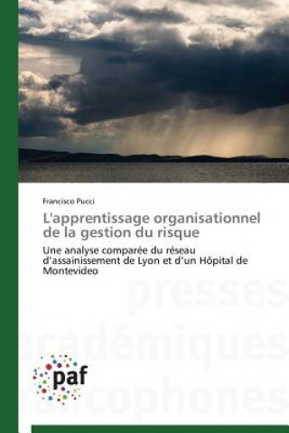 Kniha L'Apprentissage Organisationnel de la Gestion Du Risque Francisco Pucci