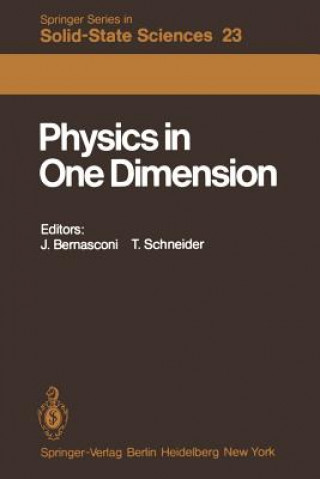 Könyv Physics in One Dimension J. Bernasconi