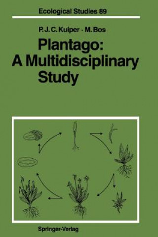 Kniha Plantago: A Multidisciplinary Study Marten Bos