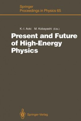Buch Present and Future of High-Energy Physics Ken-Ichi Aoki