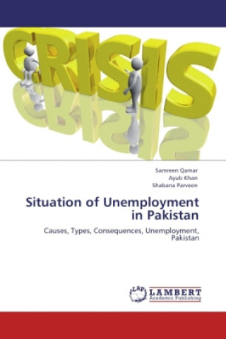 Buch Situation of Unemployment in Pakistan Samreen Qamar