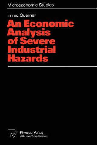 Kniha Economic Analysis of Severe Industrial Hazards Immo Querner