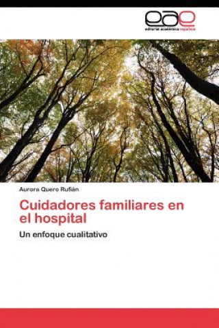 Buch Cuidadores familiares en el hospital Aurora Quero Rufián