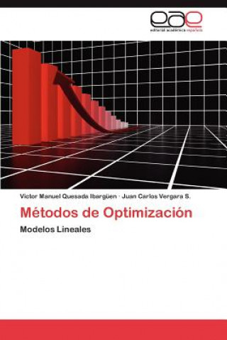 Kniha Metodos de Optimizacion Victor Manuel Quesada Ibargüen