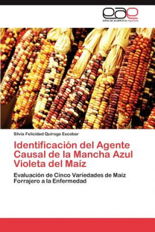 Kniha Identificacion del Agente Causal de la Mancha Azul Violeta del Maiz Silvia Felicidad Quiroga Escobar