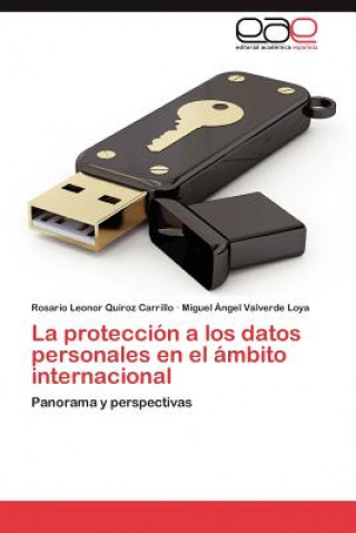 Könyv Proteccion a Los Datos Personales En El Ambito Internacional Rosario Leonor Quiroz Carrillo