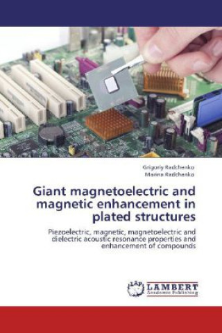 Książka Giant magnetoelectric and magnetic enhancement in plated structures Grigoriy Radchenko