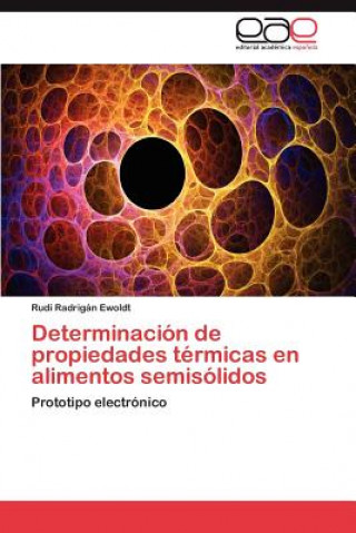 Kniha Determinacion de propiedades termicas en alimentos semisolidos Rudi Radrigán Ewoldt