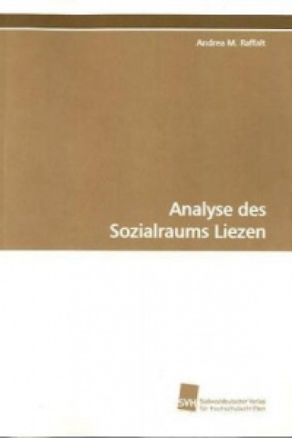 Kniha Analyse des Sozialraums Liezen Andrea M. Raffalt