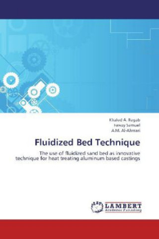 Kniha Fluidized Bed Technique Khaled A. Ragab