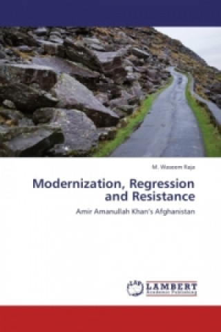 Kniha Modernization, Regression and Resistance M. Waseem Raja