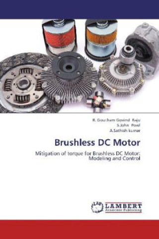 Könyv Brushless DC Motor R. Goutham Govind Raju