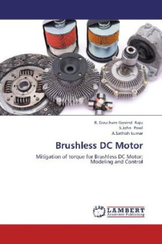 Kniha Brushless DC Motor R. Goutham Govind Raju