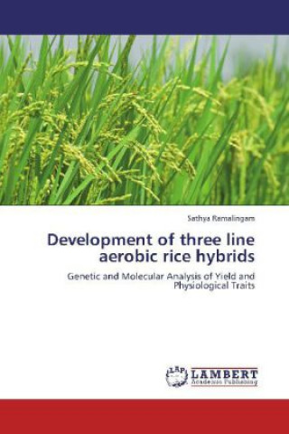 Könyv Development of three line aerobic rice hybrids Sathya Ramalingam
