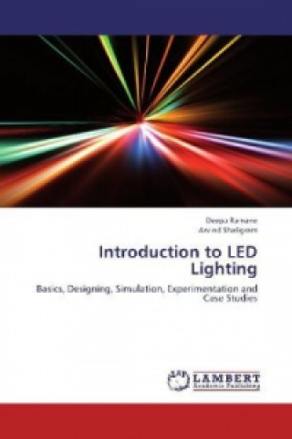 Kniha Introduction to LED Lighting Deepa Ramane