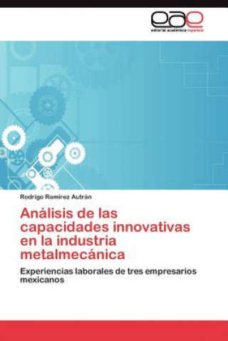 Könyv Analisis de las capacidades innovativas en la industria metalmecanica Rodrigo Ramírez Autrán